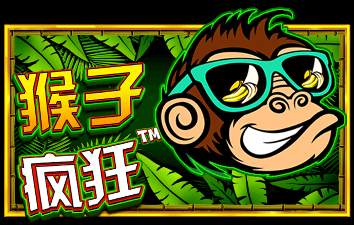 易趣热狗纸牌